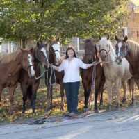 Helen and her horses