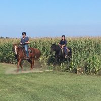 Riding through a cornfield